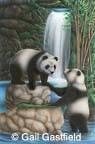 Pandas playing in waterfall